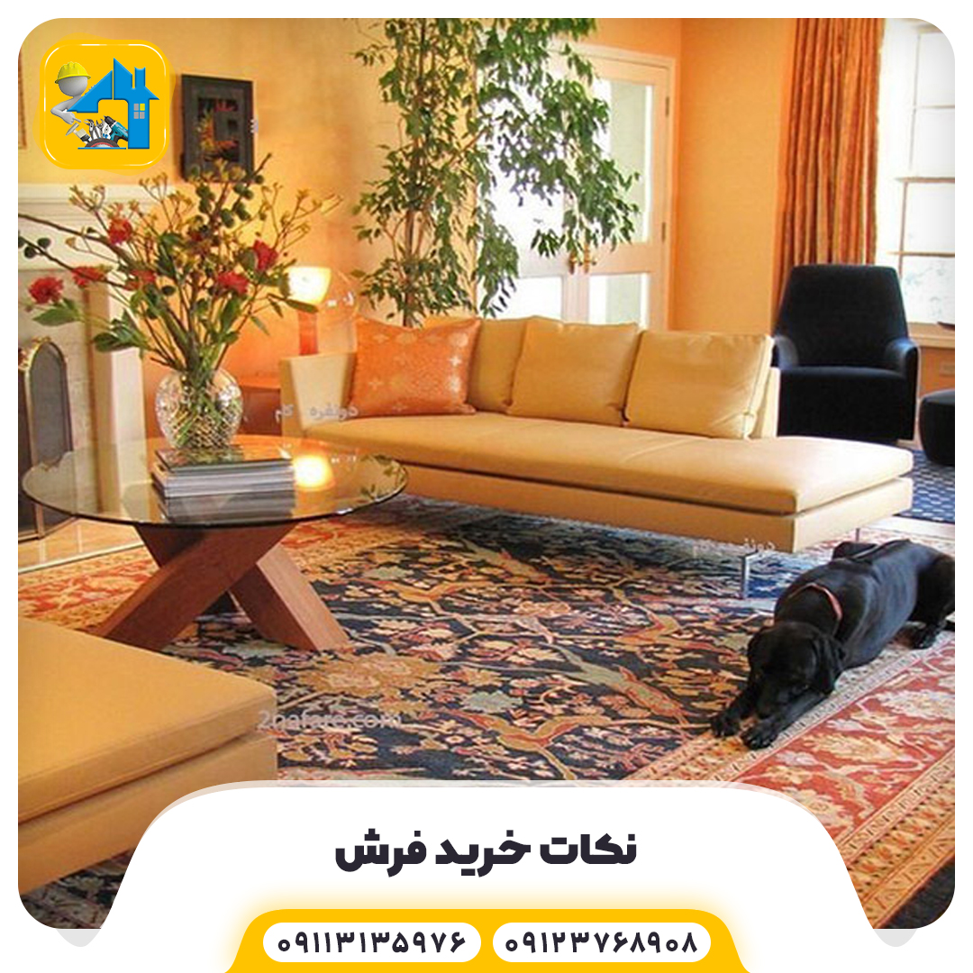 عکس بالایی